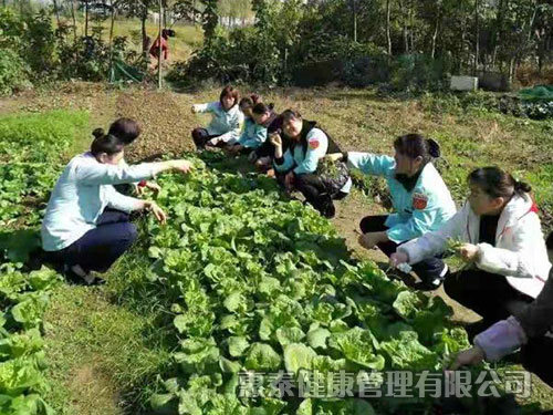 員工團(tuán)建活動(dòng)，自己摘菜做飯